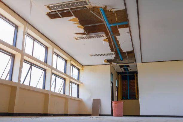 Best Basement water damage restoration  in Johnsburg, IL