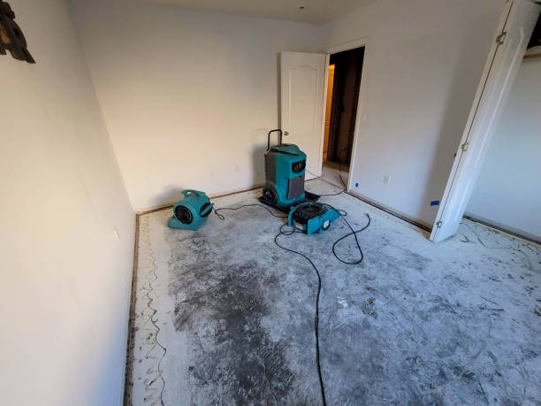 Best Water damage restoration near me  in Johnsburg, IL
