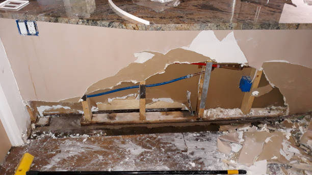Best Fire Damage Restoration  in Johnsburg, IL