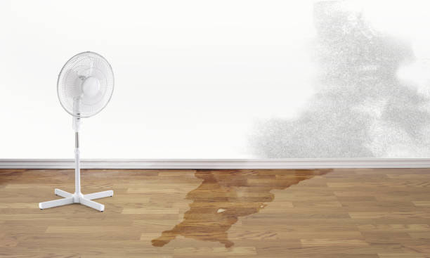 Local water damage restoration in Johnsburg, IL