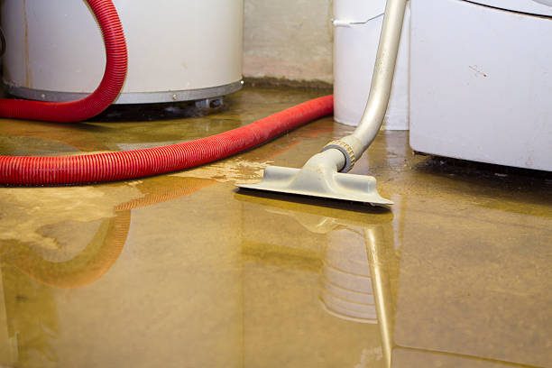 Best Commercial water damage restoration  in Johnsburg, IL